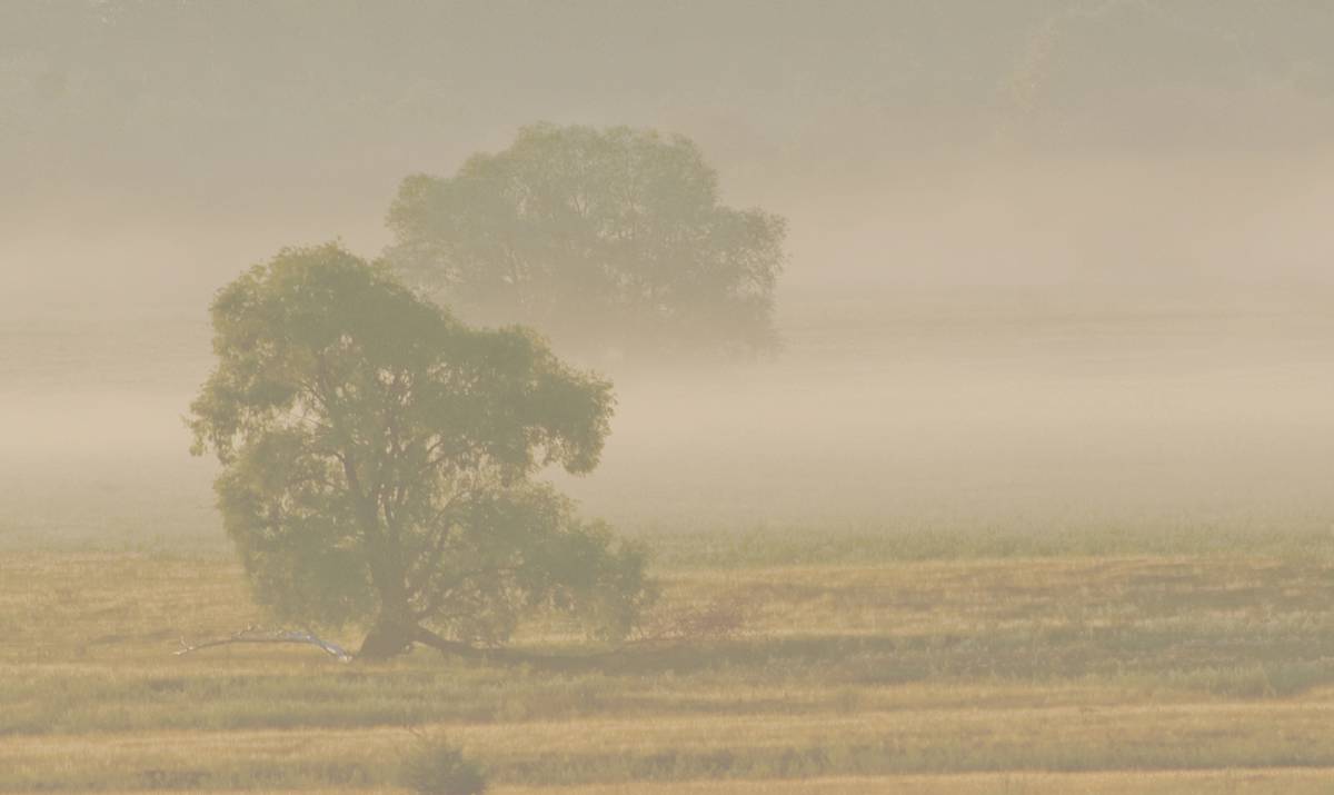 Рассвет на Могрице