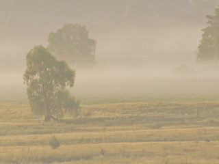 Рассвет на Могрице
