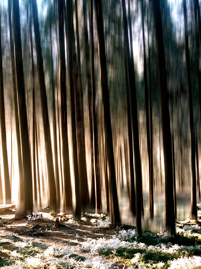 Первые заморозки