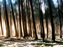 Первые заморозки