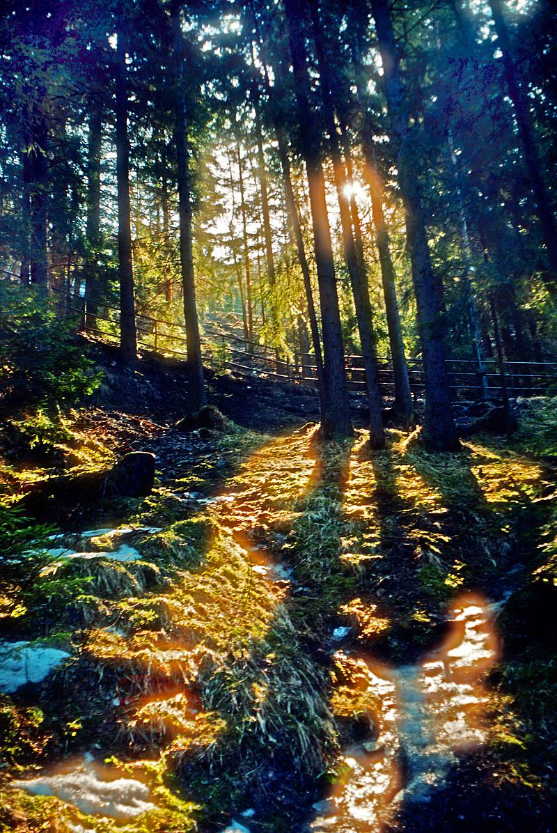 Последний луч