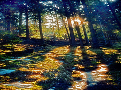 Последний луч