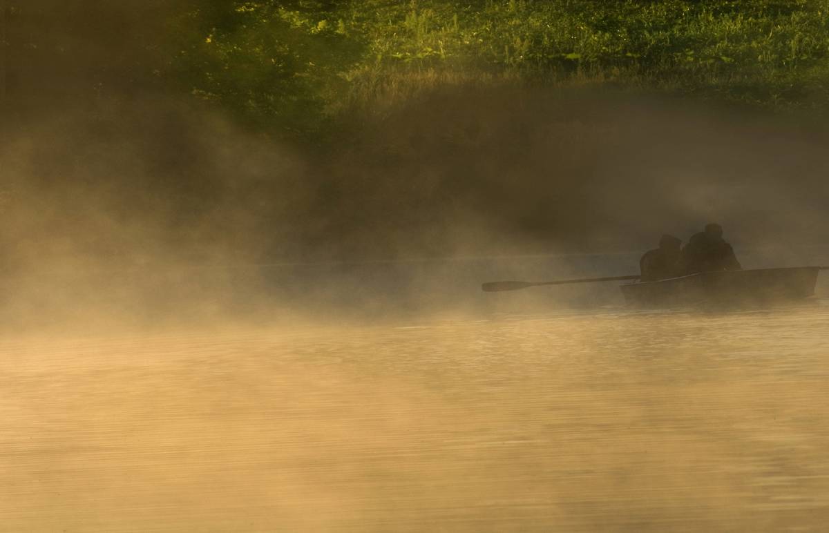 Плывущие в туман