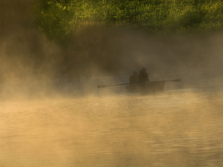 Плывущие в туман