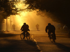 Вечер в городе