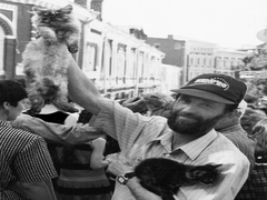 Продам друга