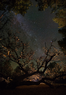 Под звездным небом