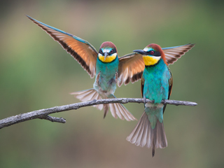 Захожу на посадку