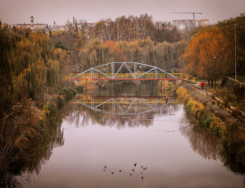 Між берегів