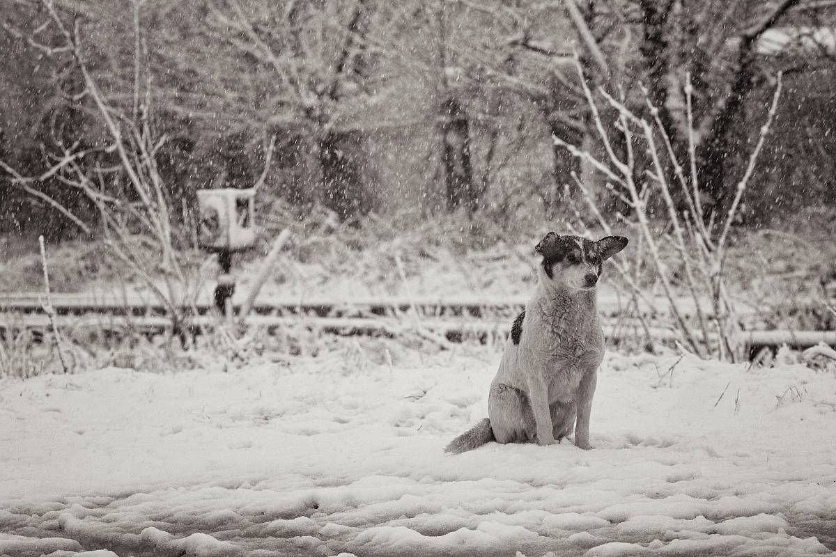 В очікуванні