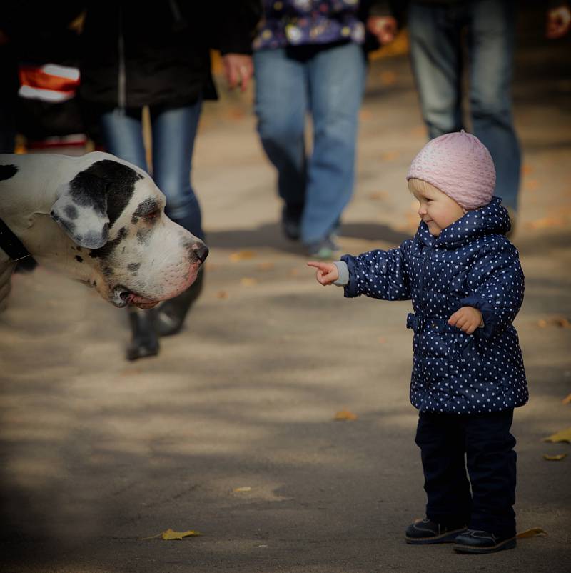 Протистояння