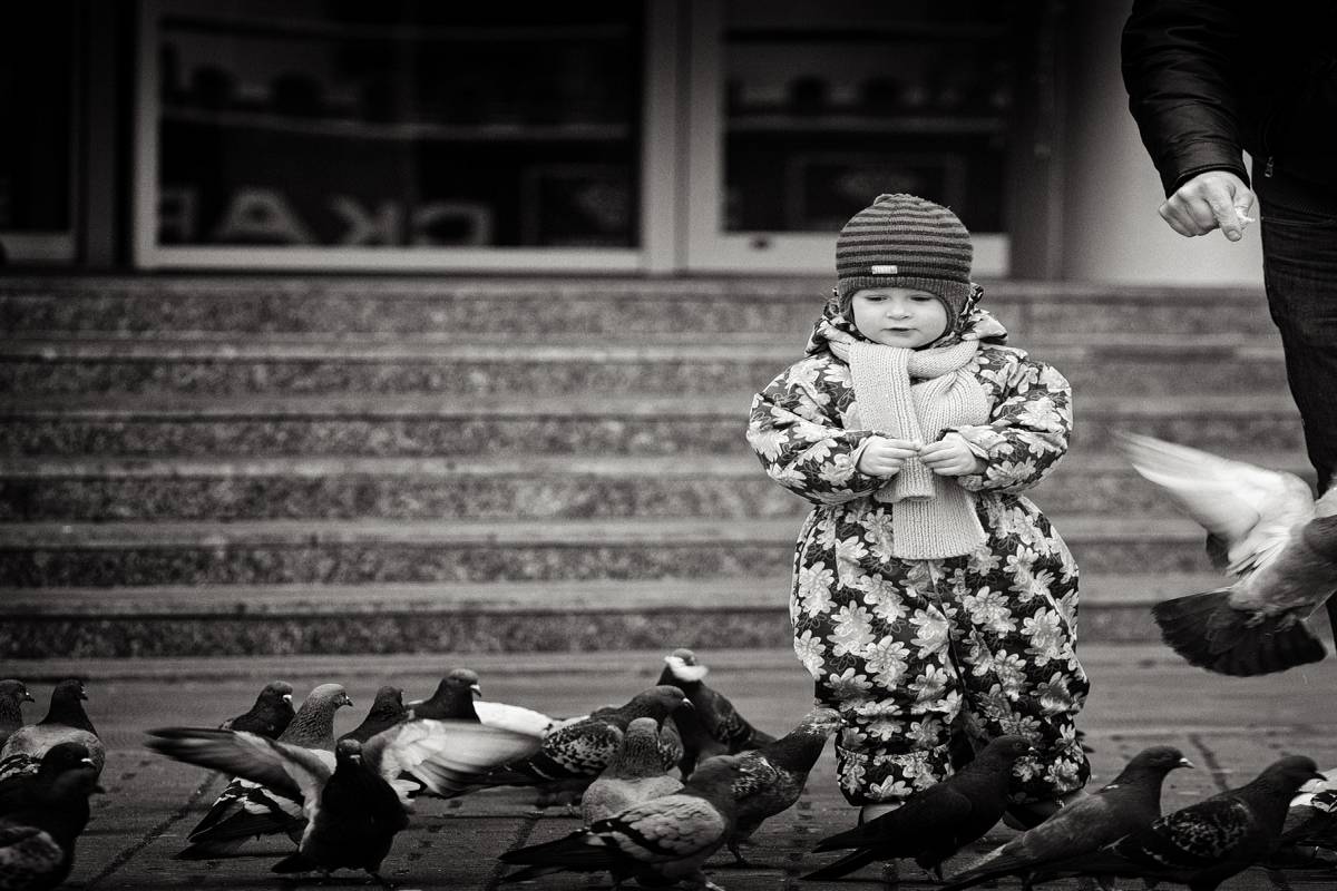 Голубиний покровитель