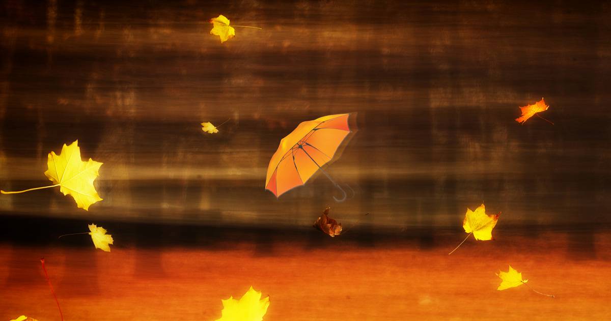 Осінній вітер