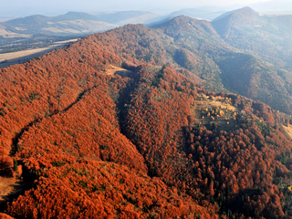 Пізня осінь