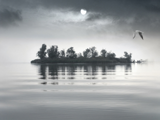 Елегія в білому