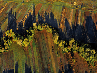 Структури і конфігурації