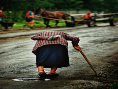 Дорога життя