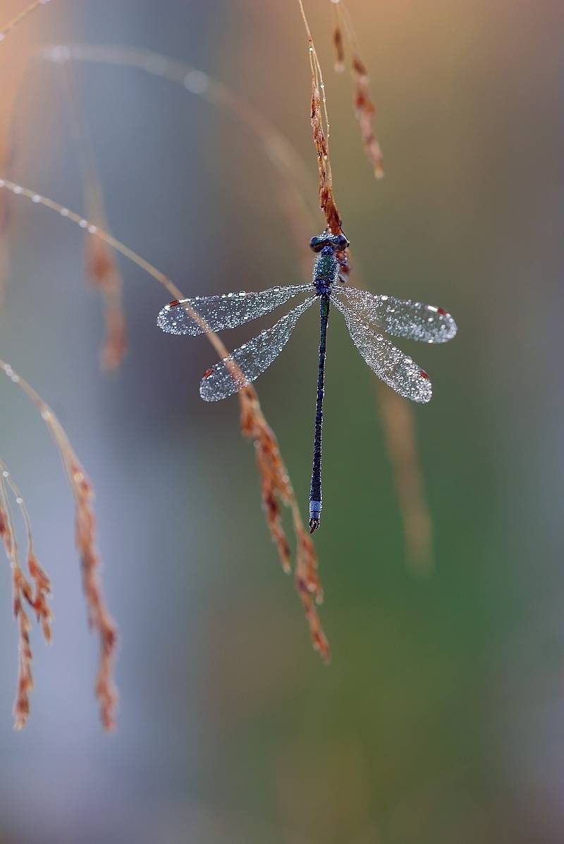 Зустрічаючи ранок
