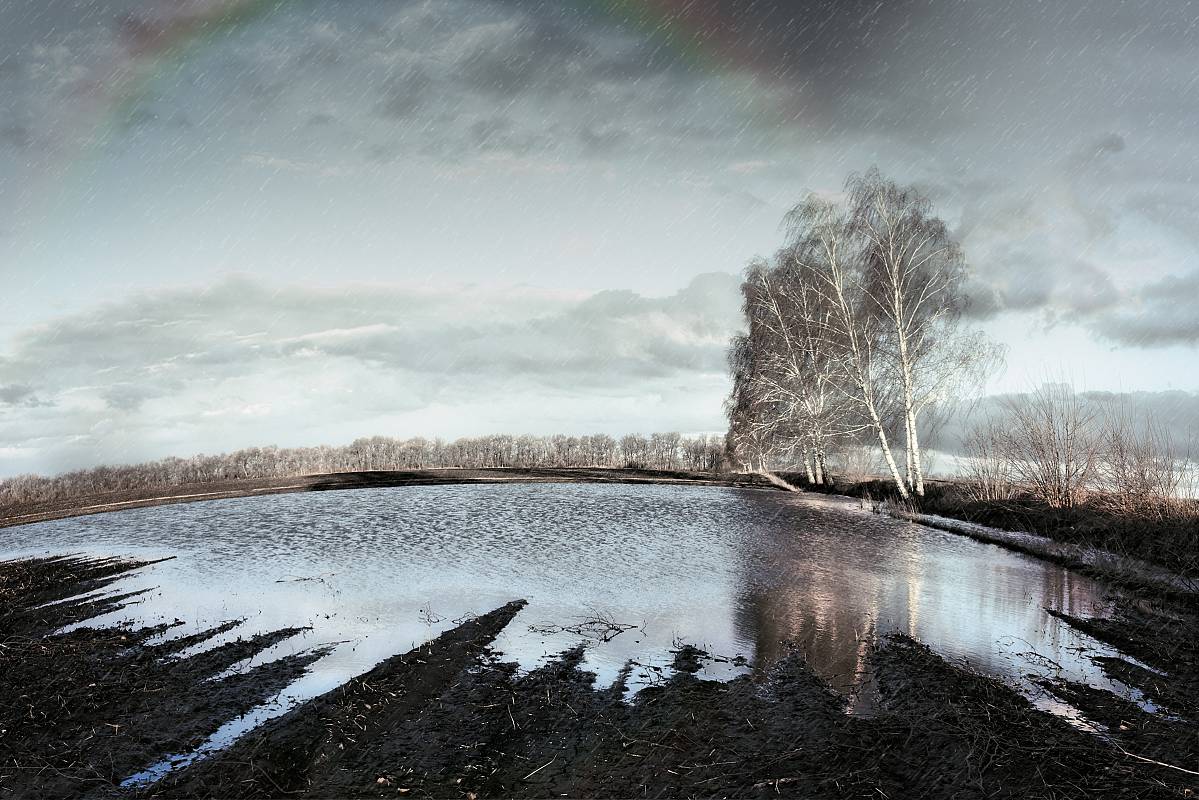 Manifestations of the elements