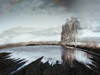 Manifestations of the elements