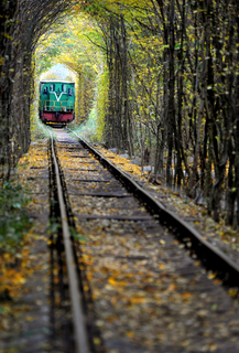 Дорога через осень