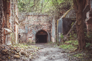 Тараканівський форт