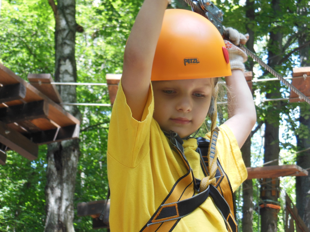 Через тернии-к звёздам