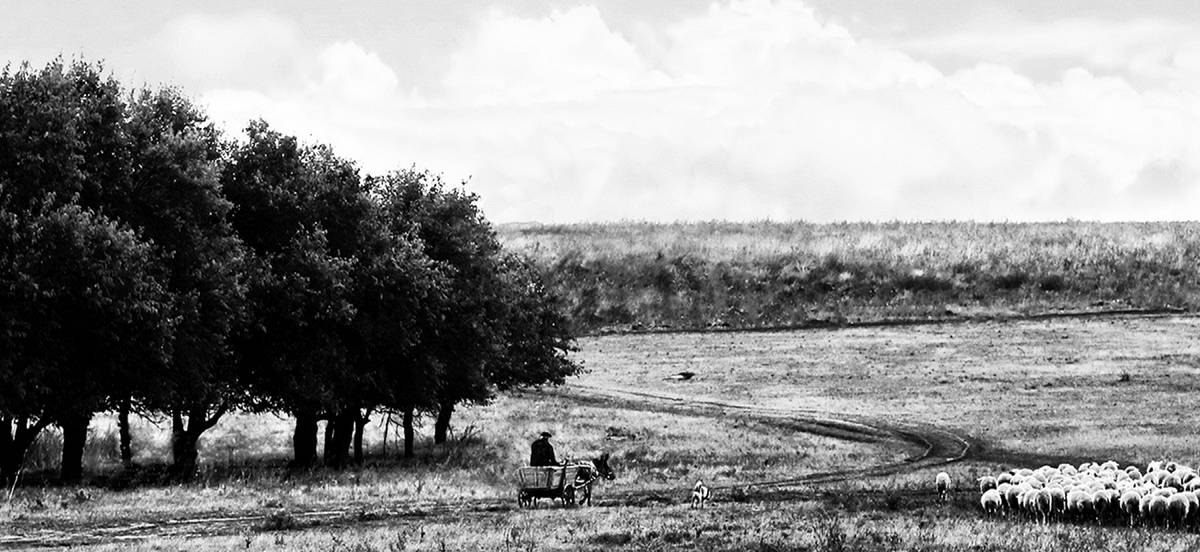 Бессарабский пейзаж