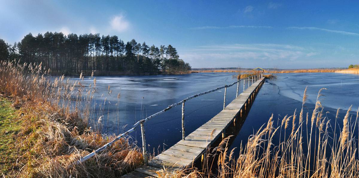 Кузьмівка. Ставки.