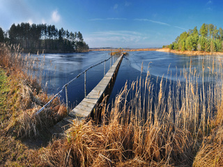 Кузьмівка. Ставки.