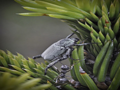 Тримайся міцніше. Я за підмогою.