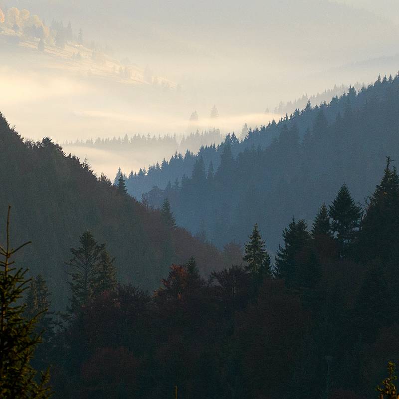 Carpathian Mountains. Sinevir-2