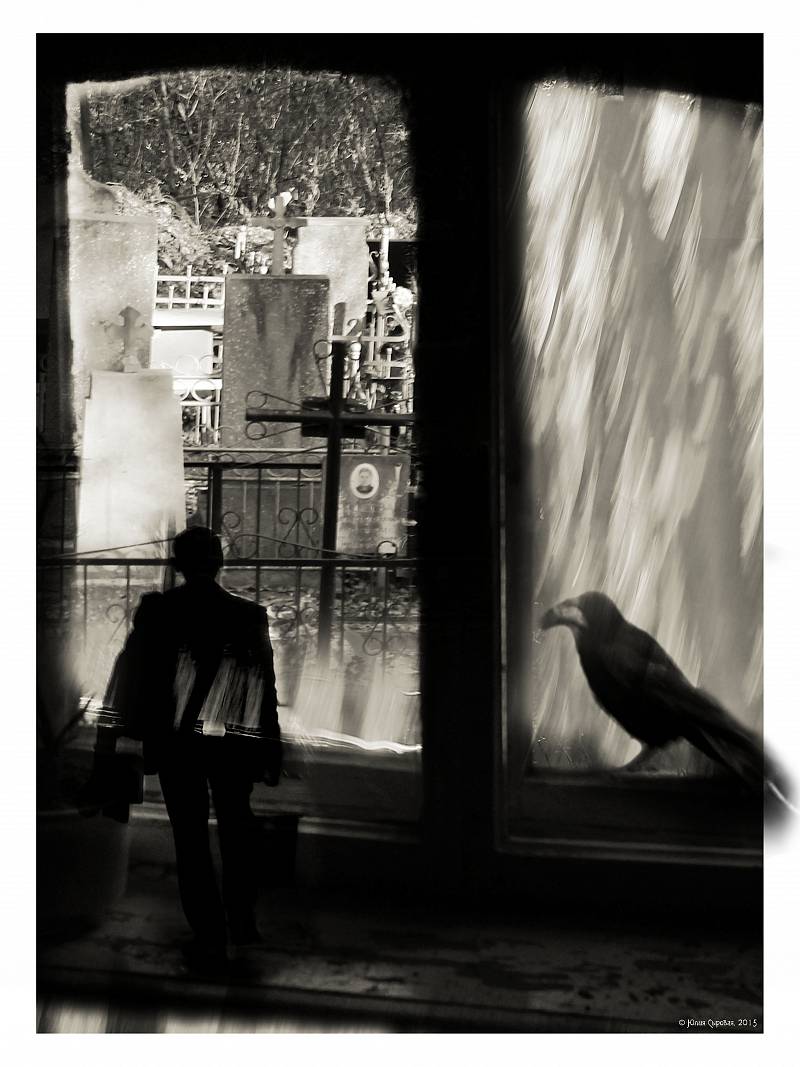 Юлия Сыровая / Сон о том, как Станислав Петрович искал свою ворону (серия Загадки сновидений)