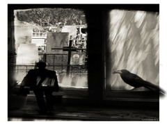 Сон о том, как Станислав Петрович искал свою ворону (серия