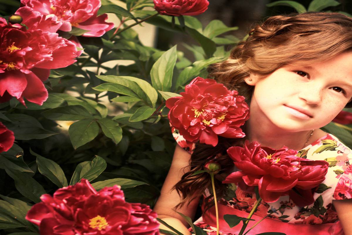 Пионовый выпуск