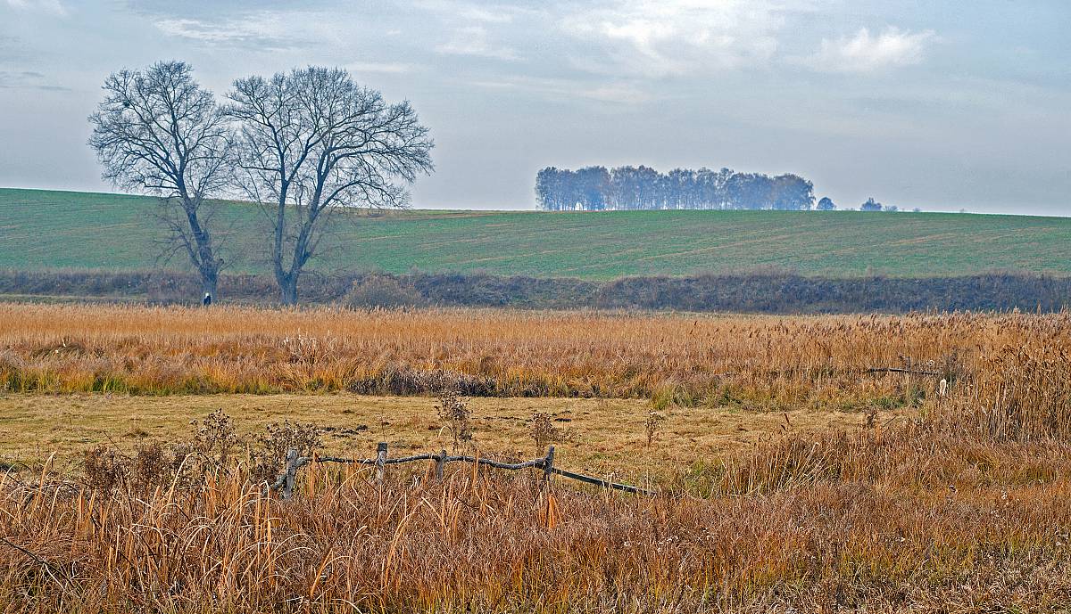 моя країна казкова