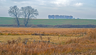 моя країна казкова