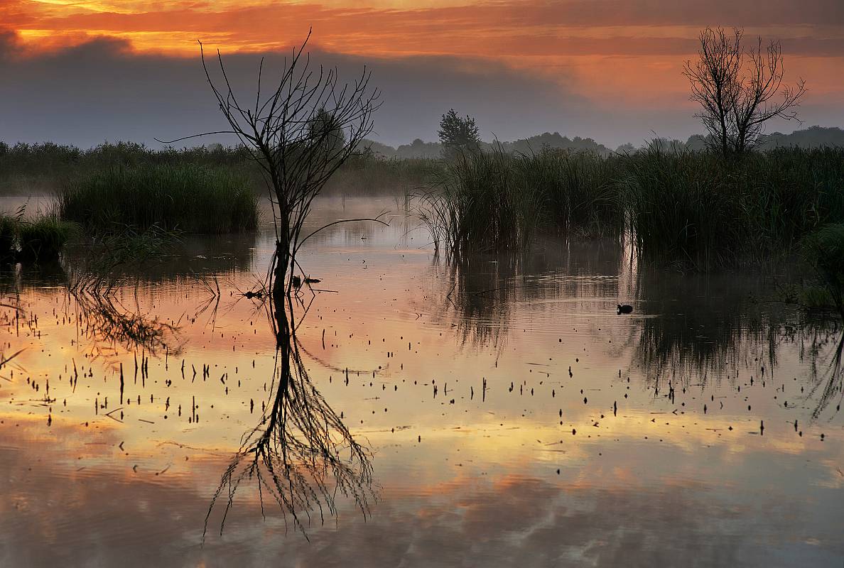 доповнення