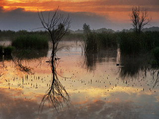 доповнення