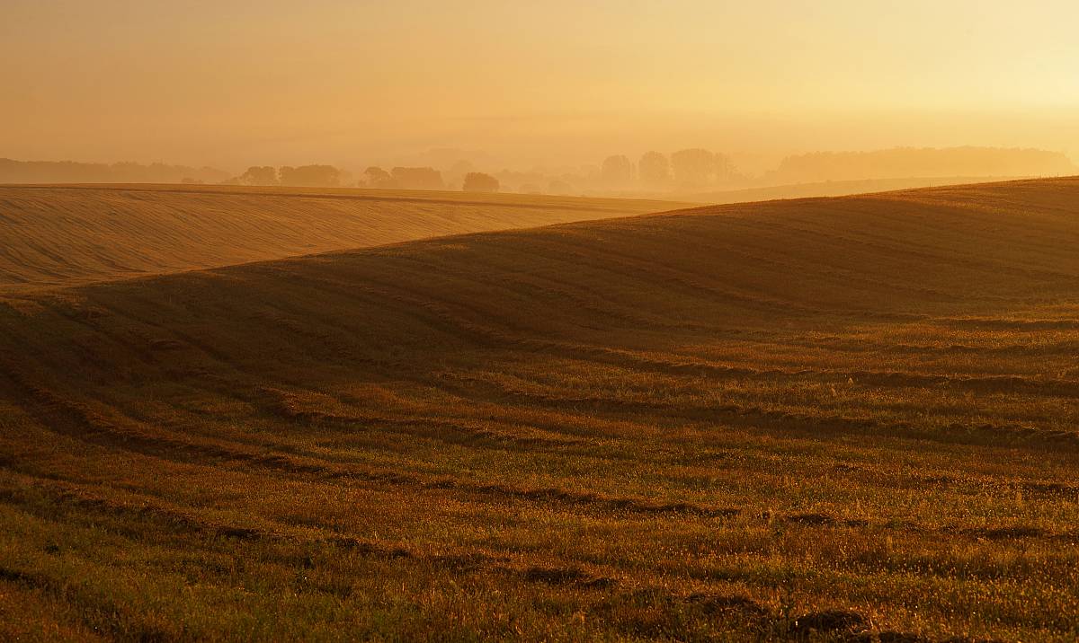 місцеві гори