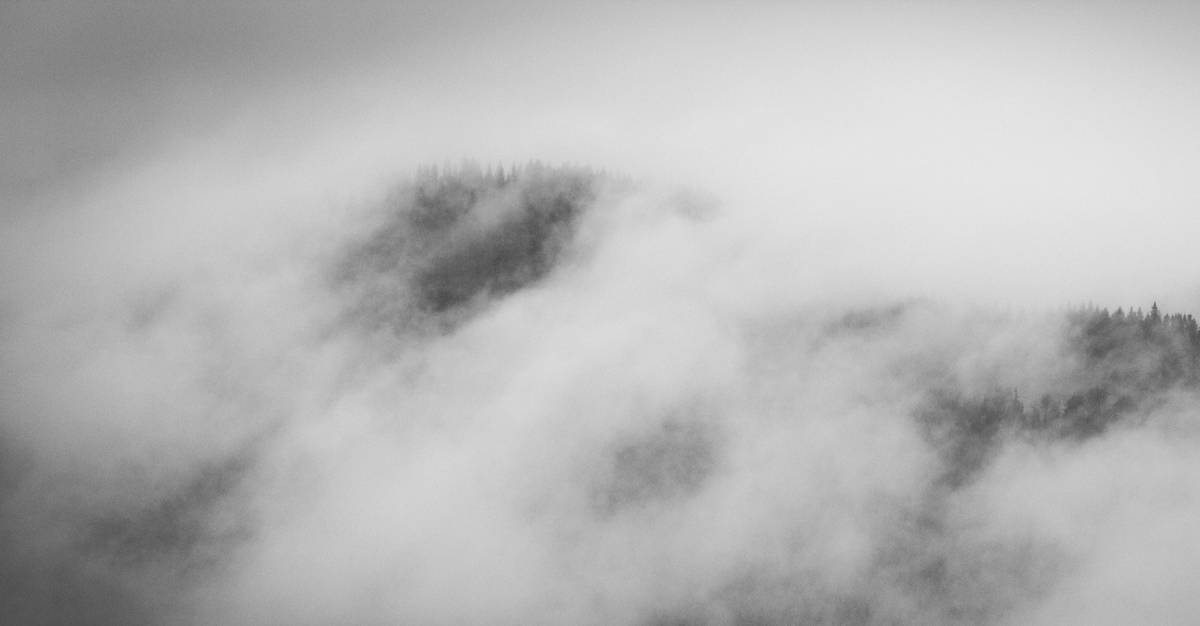 Оповиті туманом..