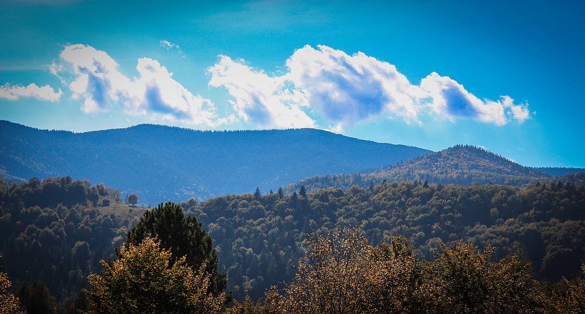 Природа Карпат