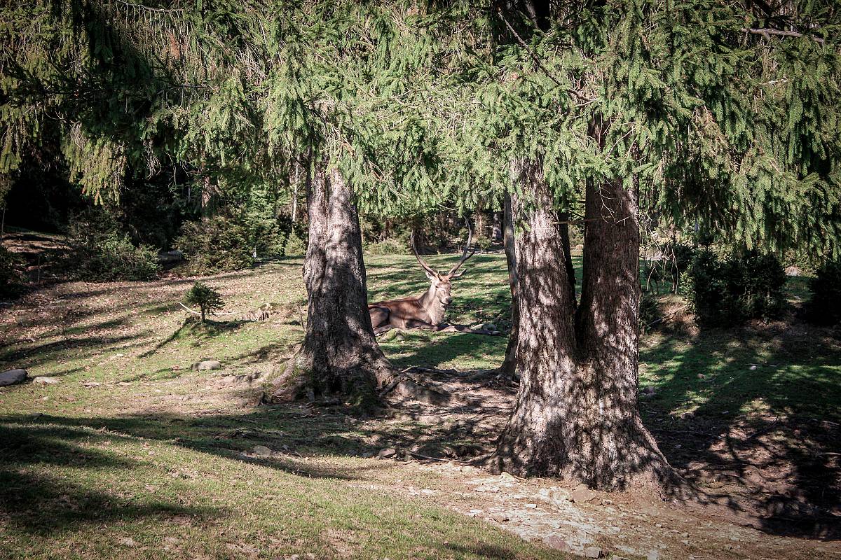 Так близько..