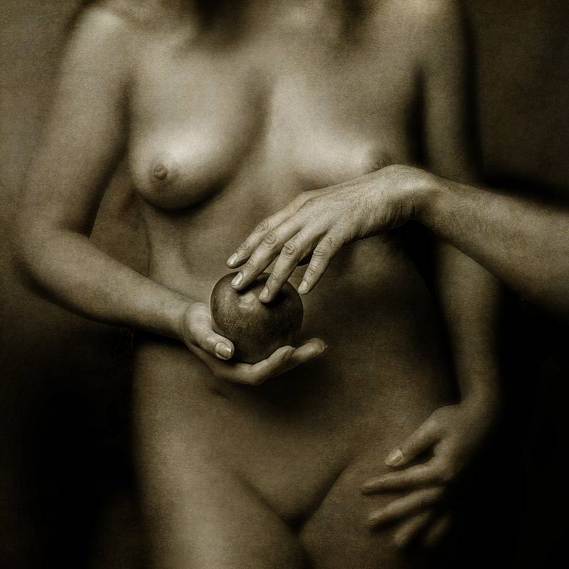 Дмитро Петрина / Дотик