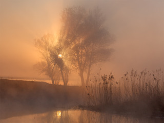 Рождение утра