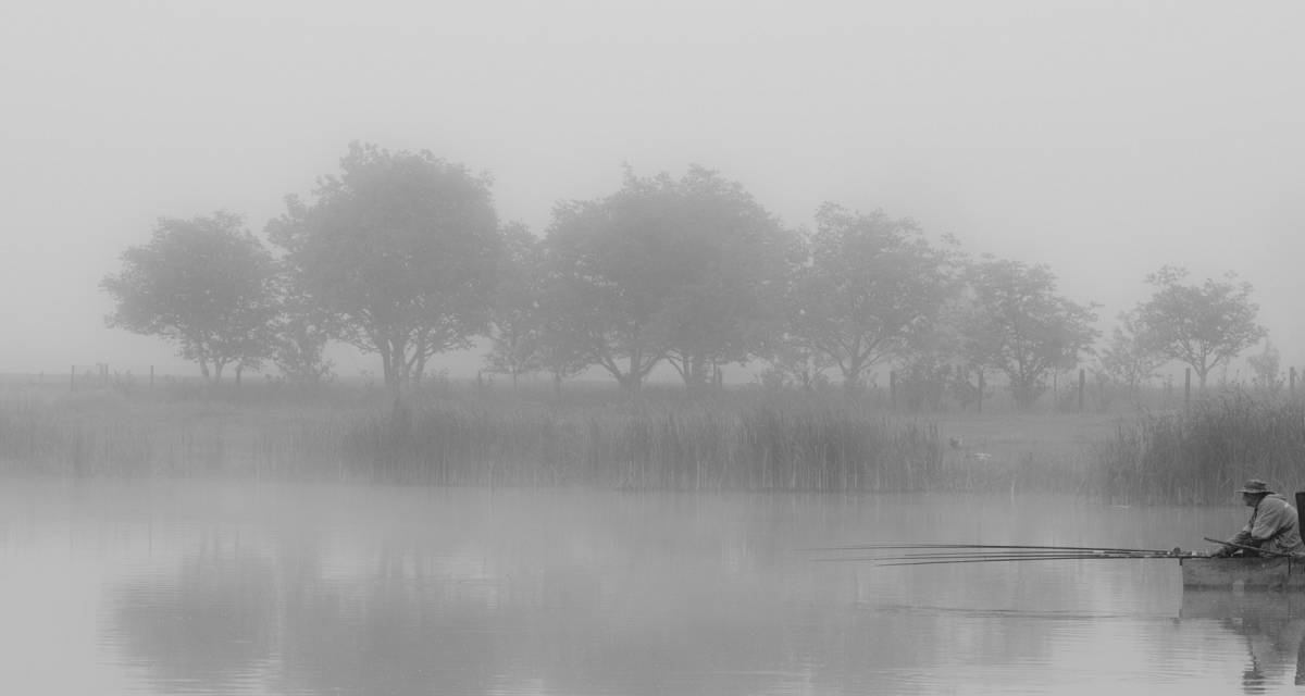 Ранковий кльов