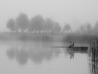Ранковий кльов