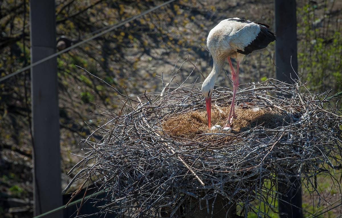 В очікуванні