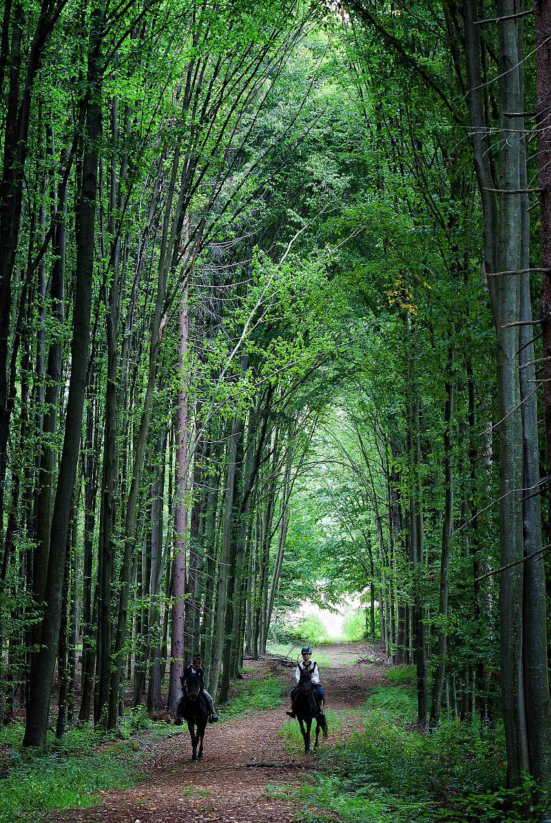 Романтичне побачення