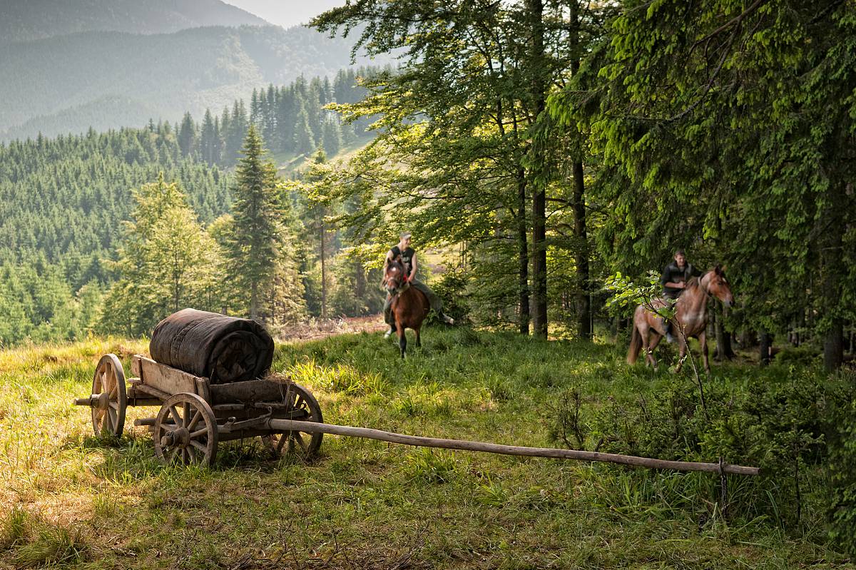 На Полонині